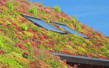 Ridge Hill living roof systems